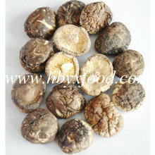 Sanligang 2.5-3.0cm Dried Smooth Shiitake Mushroom